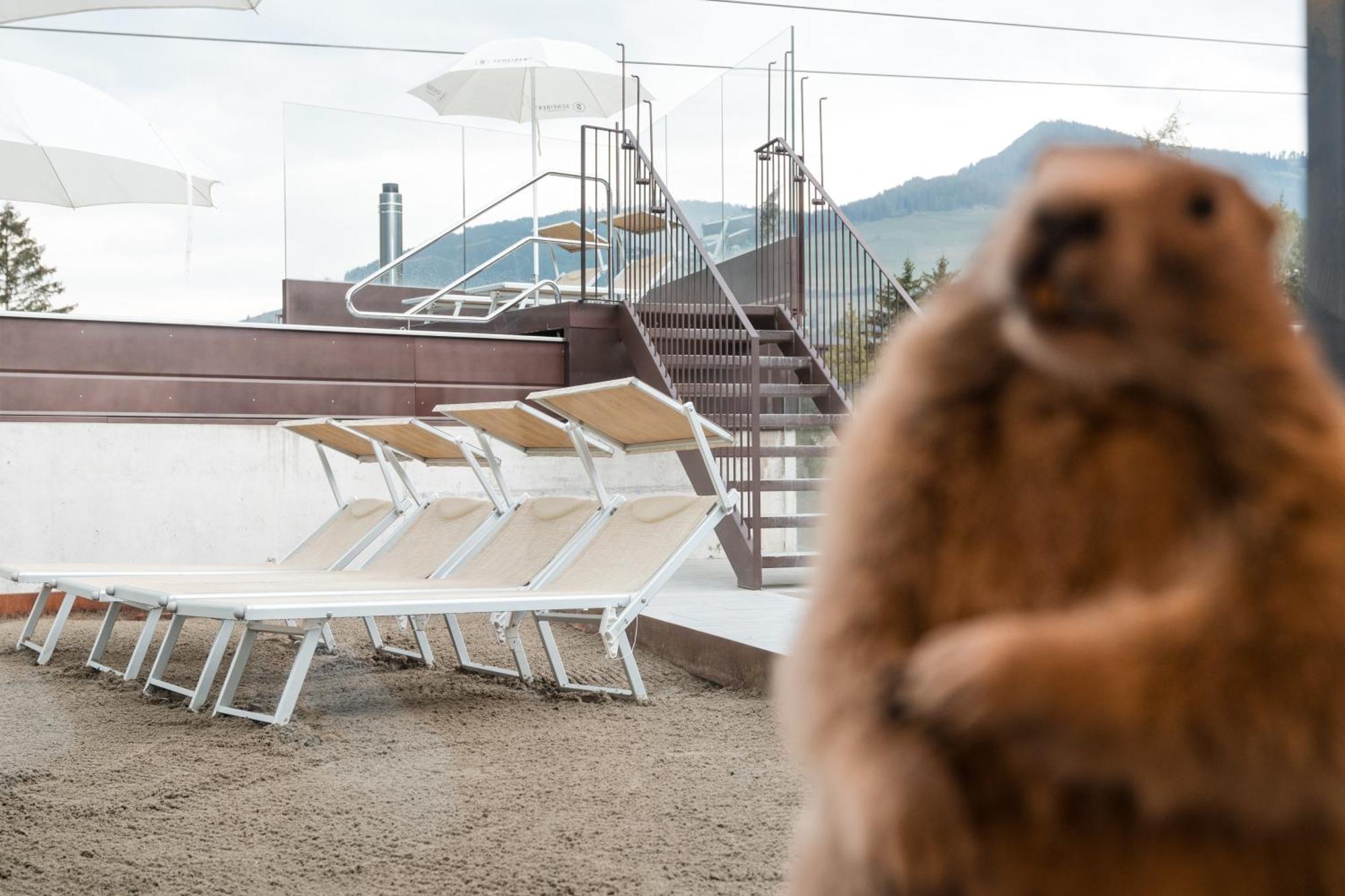 Al Plan, A Mountain Moving Hotel San Vigilio Di Marebbe Kültér fotó